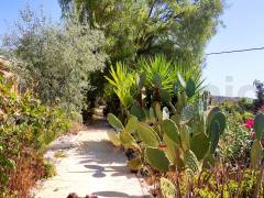 Gebrauchtobjekte - Finca - Crevillente