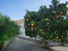 Gebrauchtobjekte - Einfamilienhaus - Ciudad Quesada - Lo Pepin