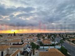 Resales - Apartment - Orihuela Costa - Playa Flamenca